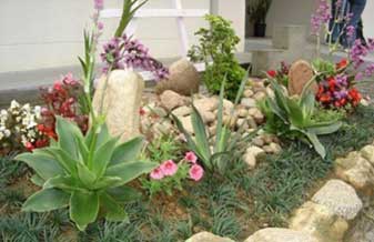 Aide Jardinagem - Foto 1