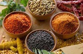 Saude integral - Foto 1