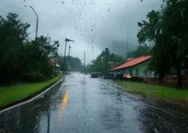 Previsão do tempo em Itaquaquecetuba