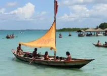 Cultura Itinerante Itaquá