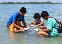 Programa Defesa Civil Mirim