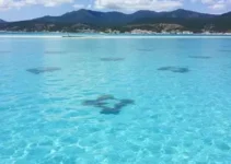 Itaquá prorroga inscrições de editais da Política Nacional Aldir Blanc