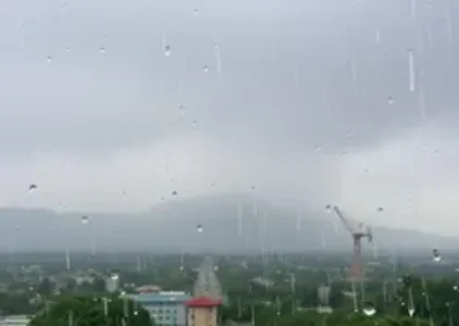 Últimas noticias de Itaquaquecetuba