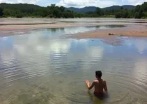 ações de conscientização ambiental