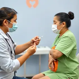 vacinação contra a gripe