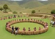 gestão de projetos culturais