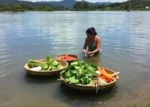 cursos gratuitos de ecogastronomia