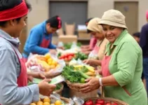 segurança alimentar