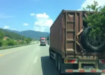 carreta tomba
