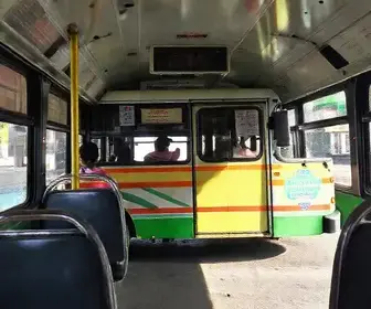 ônibus gratuitos nas eleições